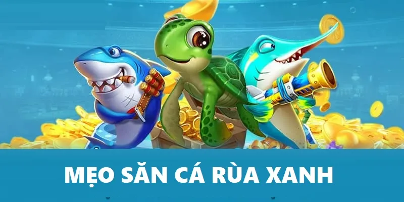 Bí quyết săn cá rùa xanh của cao thủ